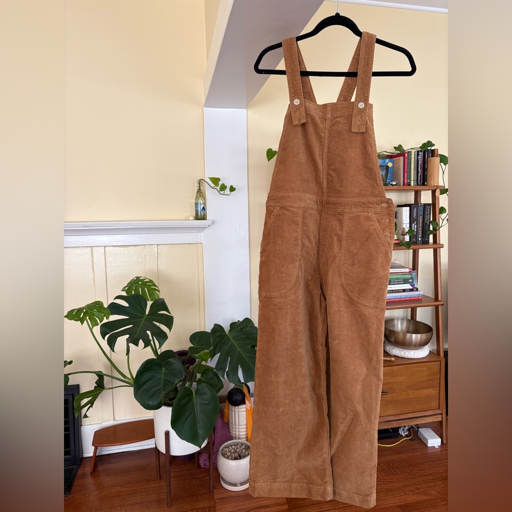 Patagonia “Standup” Cropped Corduroy Overalls (size 6)